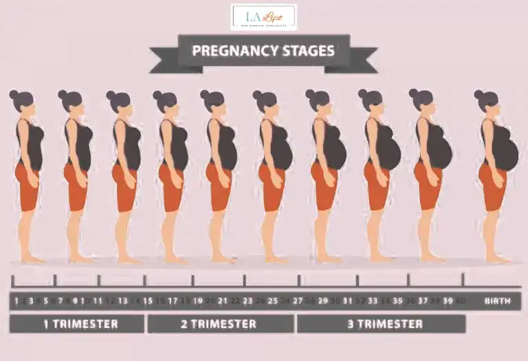 First Trimester (Weeks 1–12): Early Changes You Might Not Notice Epping